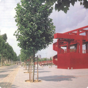 Bernard Tschumi – The Architect…